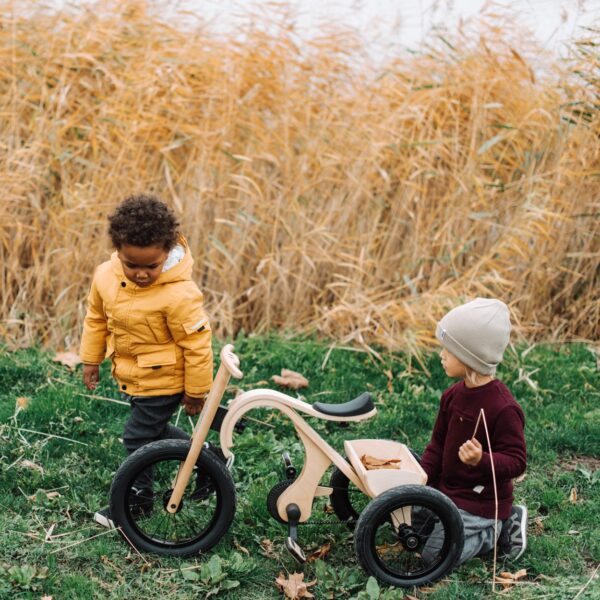tricycle add on for the leg&go balance bike 3in1 tricycle add on for the leg&go balance bike 3in1