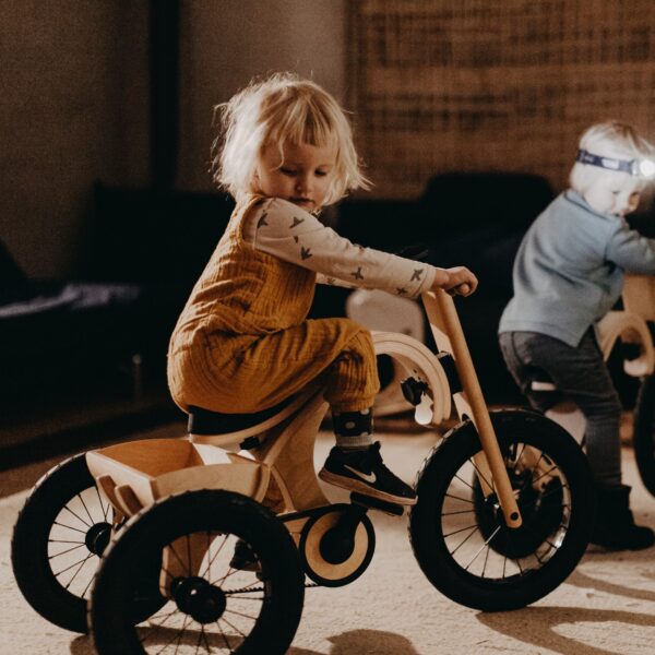 tricycle add on for the leg&go balance bike 3in1 tricycle add on for the leg&go balance bike 3in1