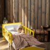growing-bed-for-kids-5c9ba6d1.jpg Growing Bed For Kids